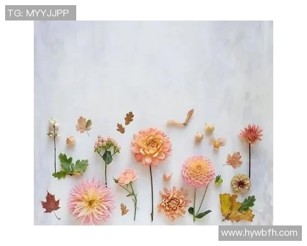 细数那些触动人心的足球球星退役名言背后的奋斗与辉煌