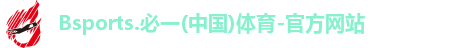 B体育官网